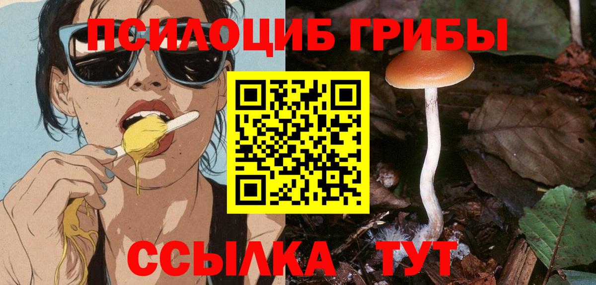 Советский  Галлюциногенные грибы прущие грибы  Вход с VPN 
